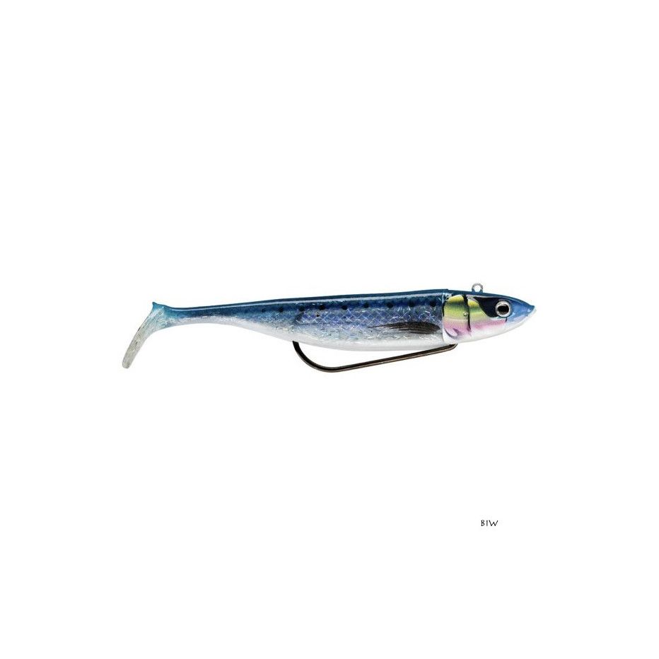 Body Storm 360 GT Coastal Biscay Shad