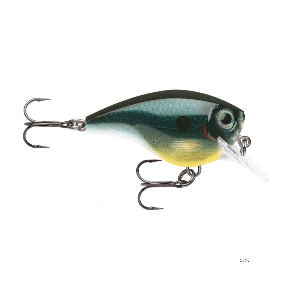 Hard Bait Rapala BX Brat 3