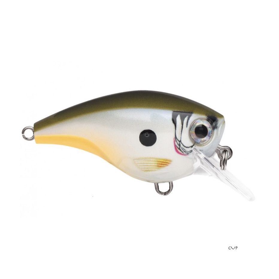 Hard Bait Rapala BX Brat 3