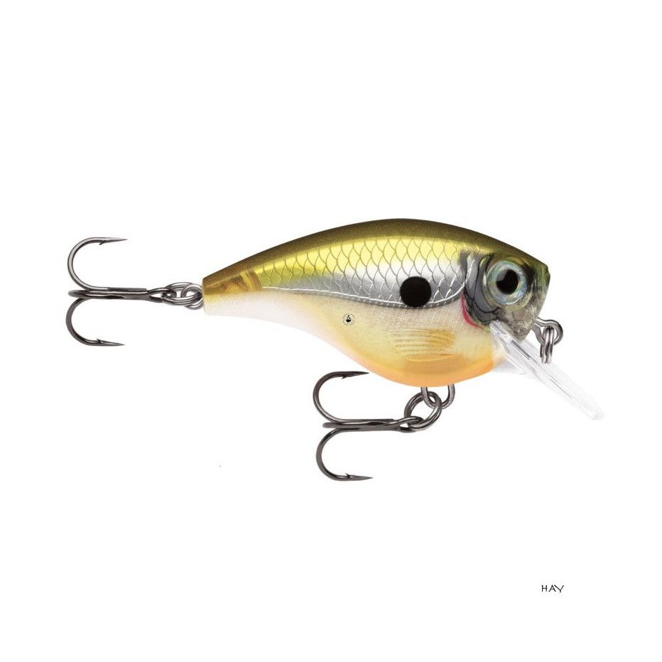 Hard Bait Rapala BX Brat 3