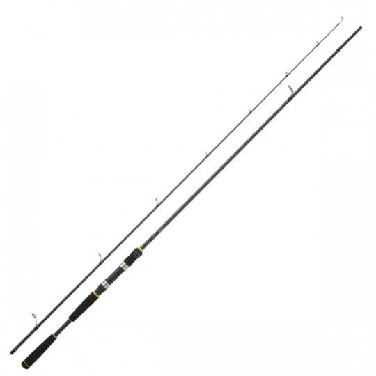 Spinning rod Sea Daiwa...