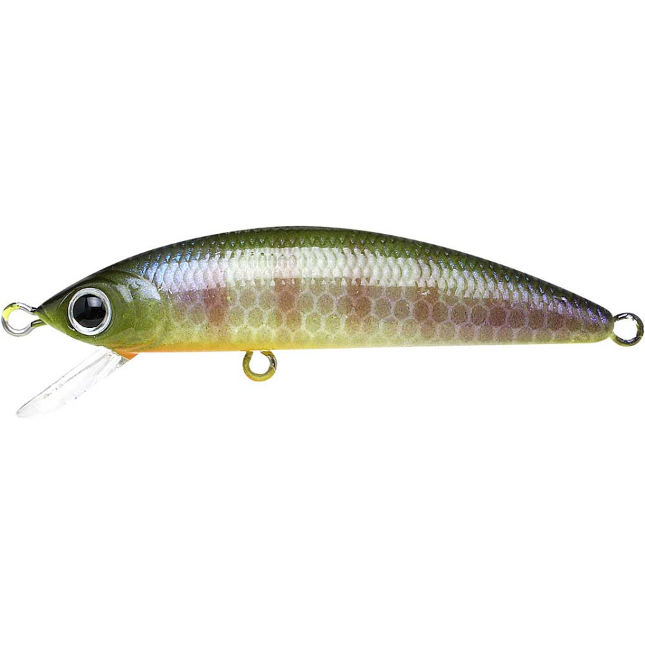 Kunstköder Lucky Craft Humpback Minnow 50 SP