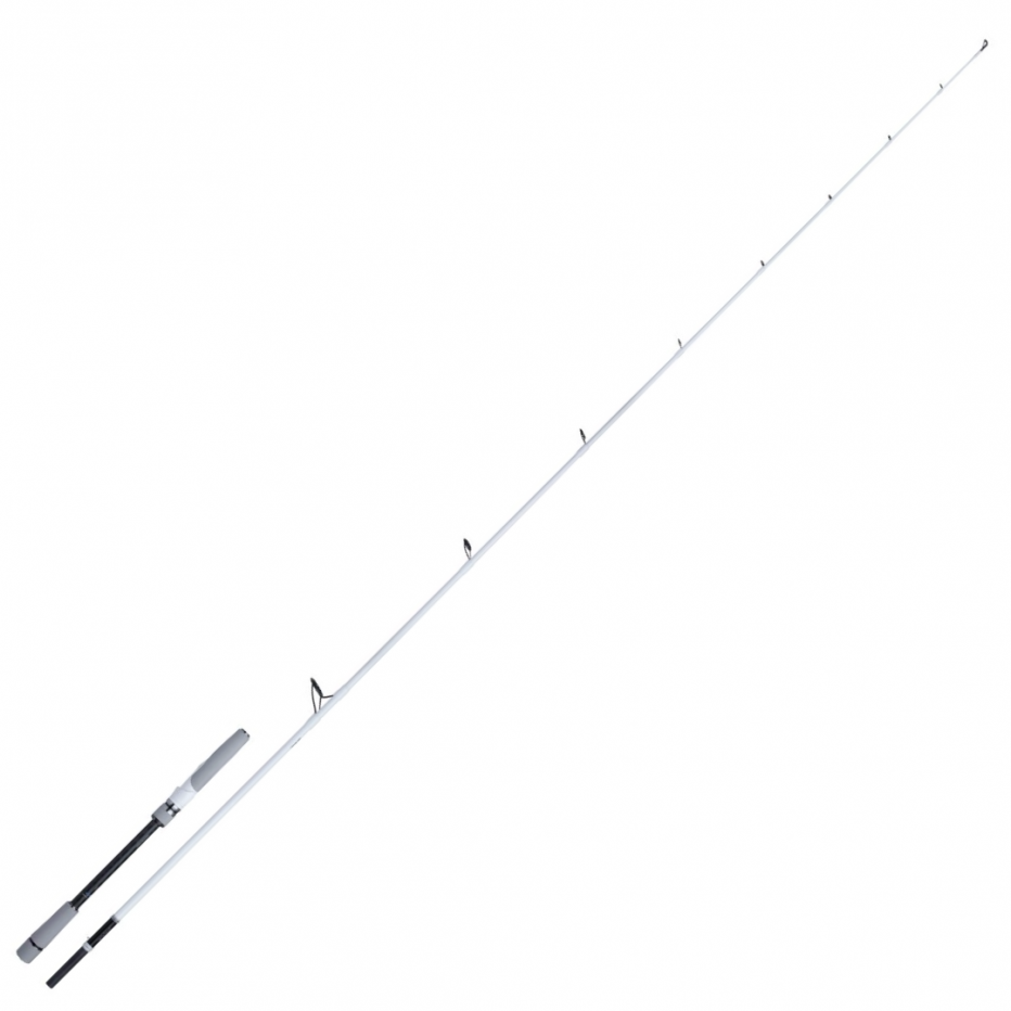 Caña Spinning Shimano Stradic Seabass