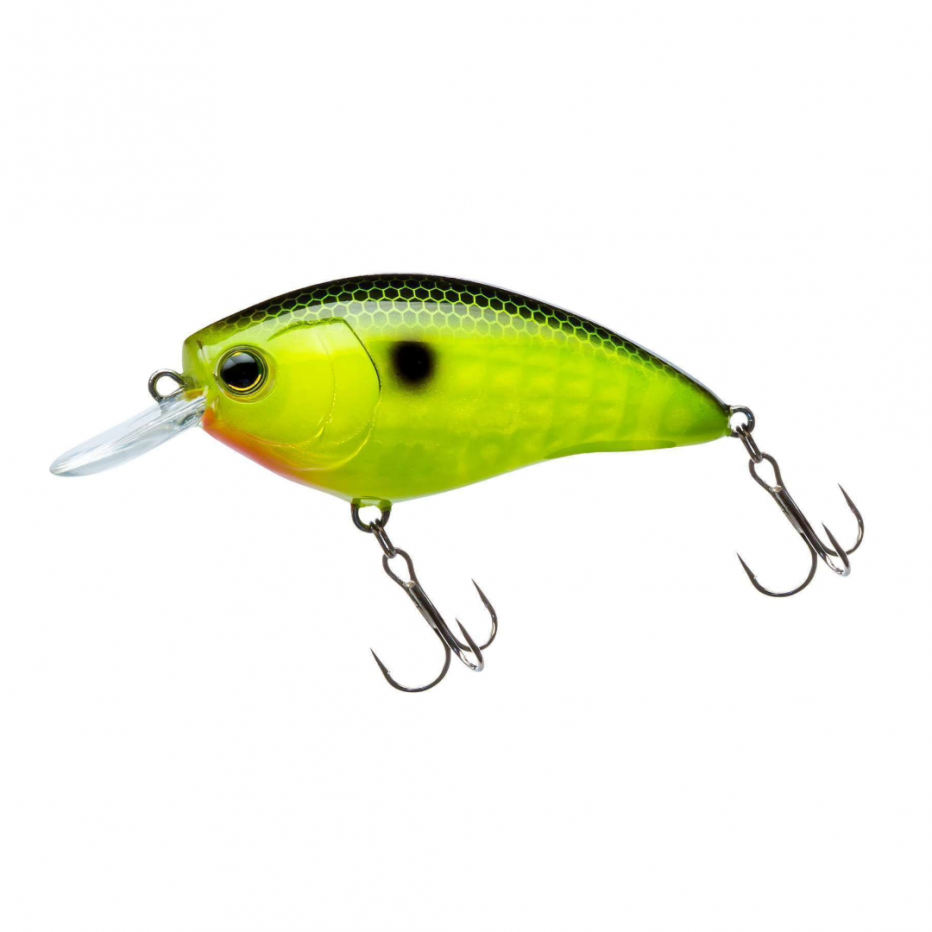 Poisson Nageur Yo-Zuri 3DR X Crank SR F 5cm