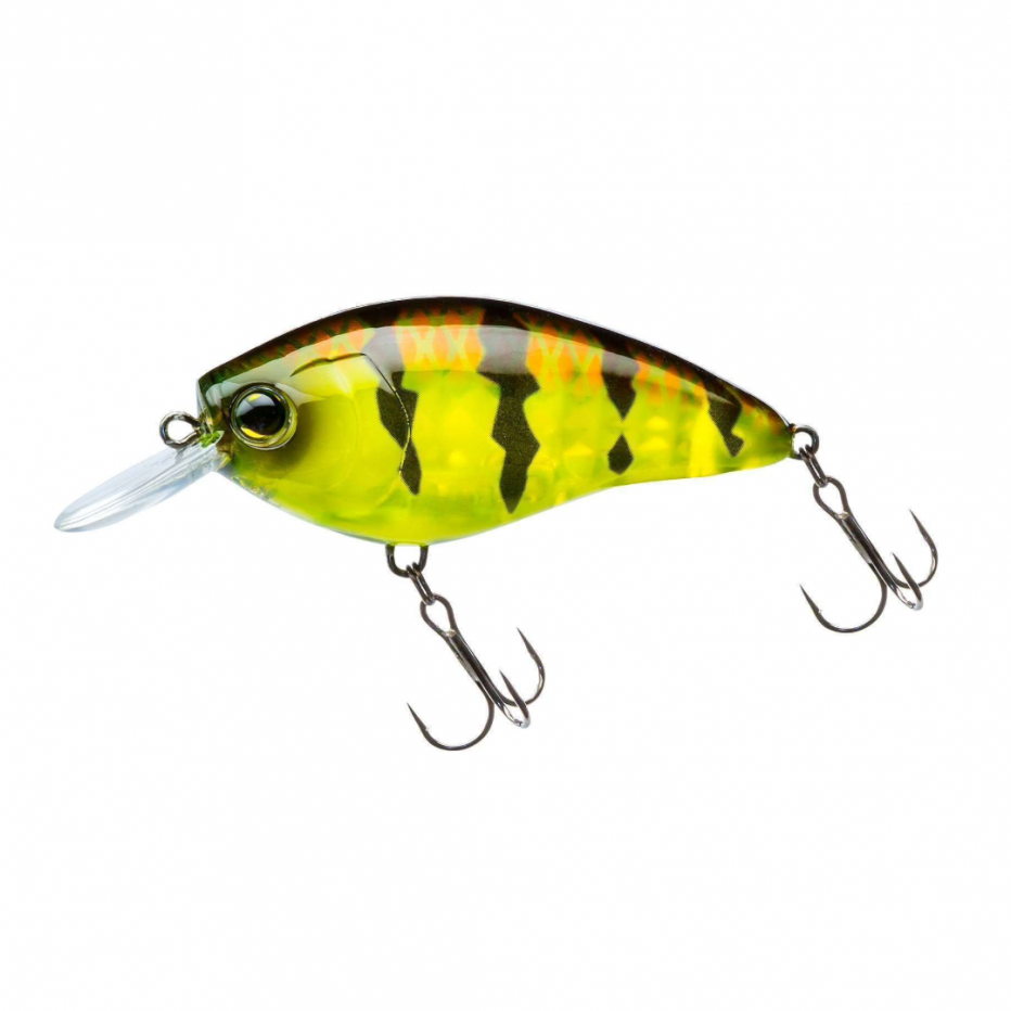 Poisson Nageur Yo-Zuri 3DR X Crank SR F 5cm