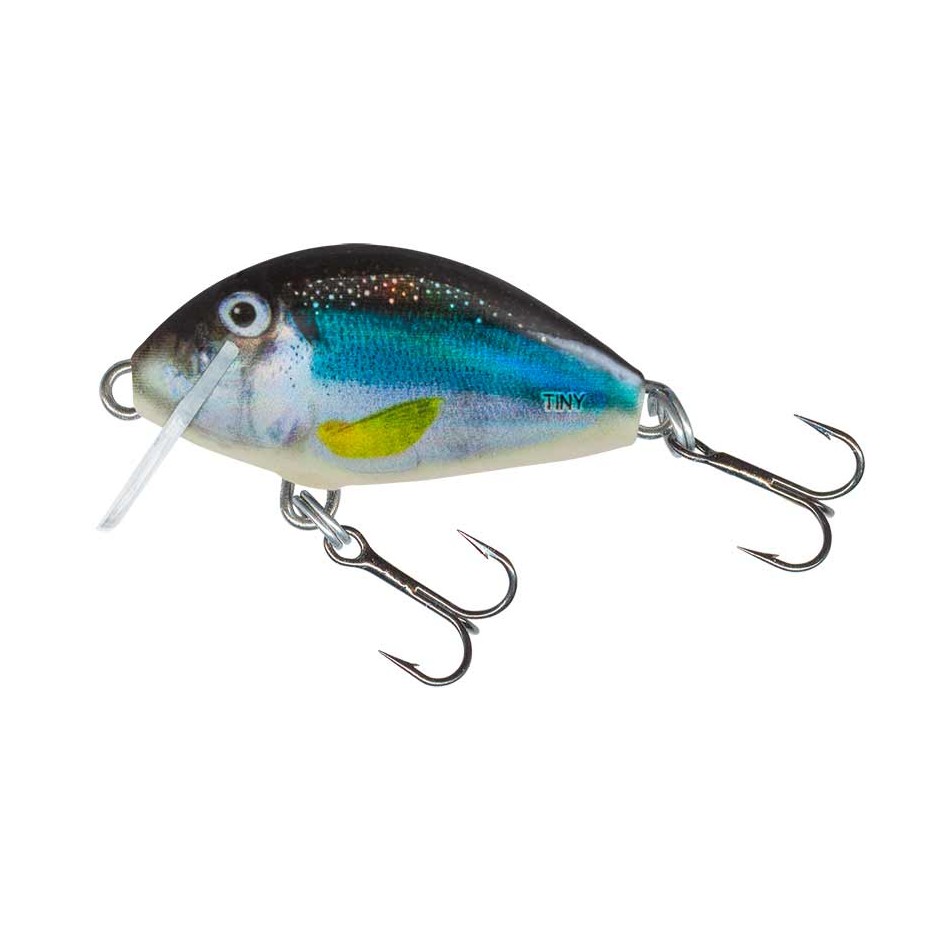 Hard bait Salmo Tiny 3cm