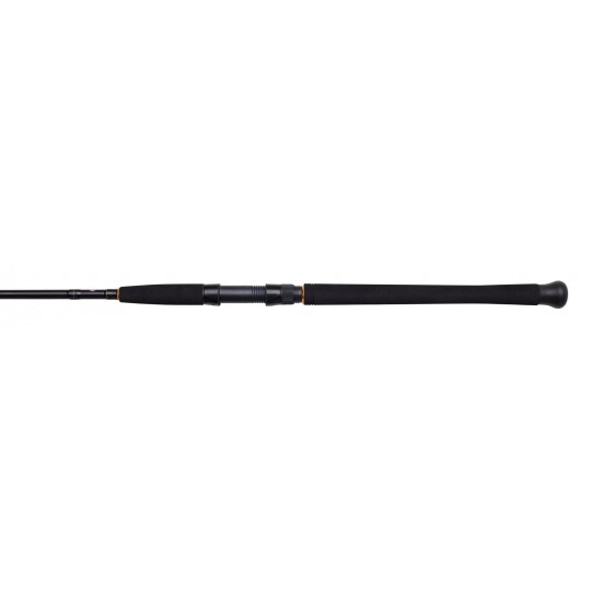 Spinning Combo Penn Wrath II Bream