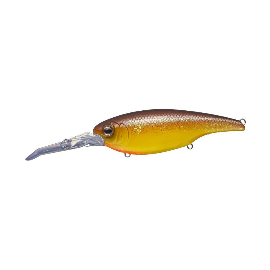 Poisson Nageur Evergreen DD X Over 10cm