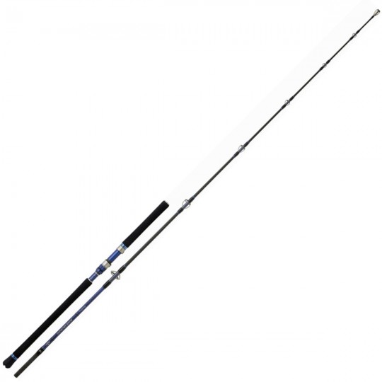 Spinning rod Hearty Rise...