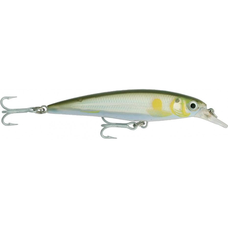 Kunstköder Rapala X-Rap Salzwasser 10cm