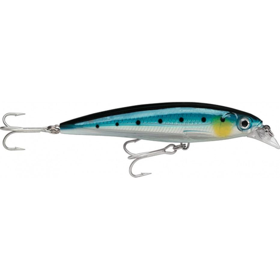 Kunstköder Rapala X-Rap Salzwasser 12cm