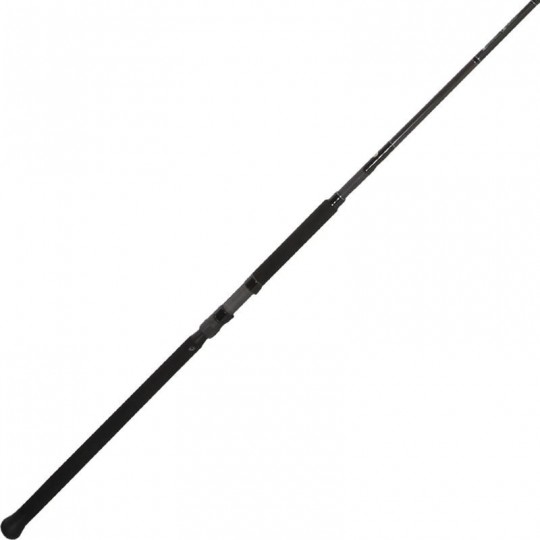 Spinning Rod Golden Mean...