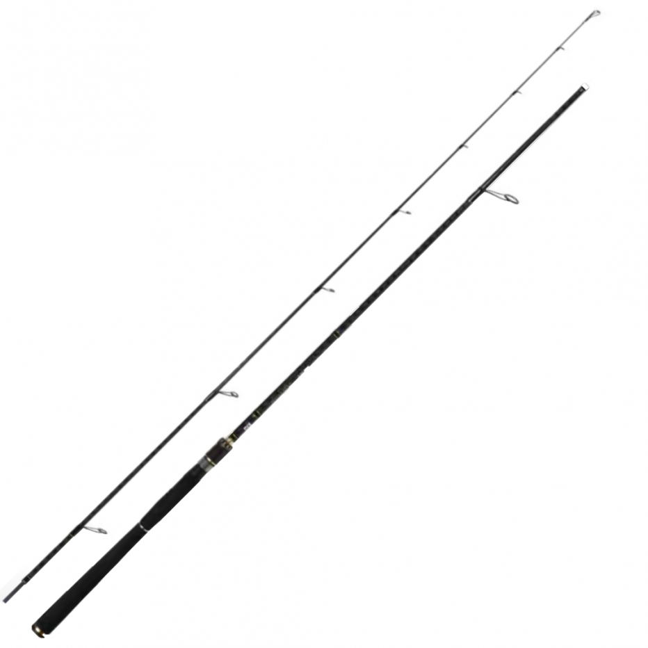 Spinning Rod Tica Black Eagle Series