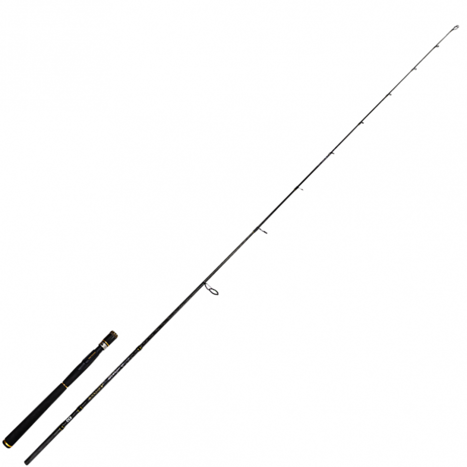 Spinning Rod Tica Black Eagle Series