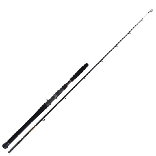 Canne Casting Shimano Beastmaster AX Catfish Vertical