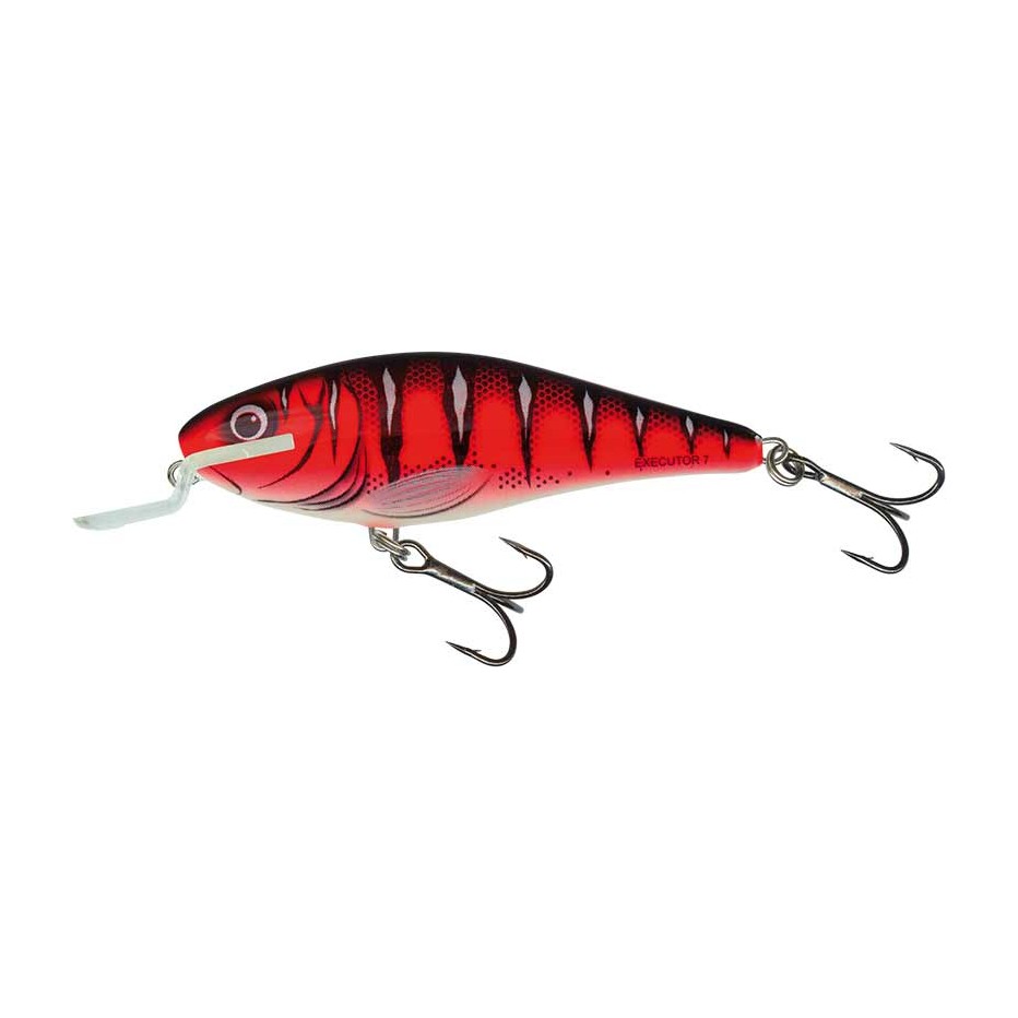 Hard Bait Salmo Executor