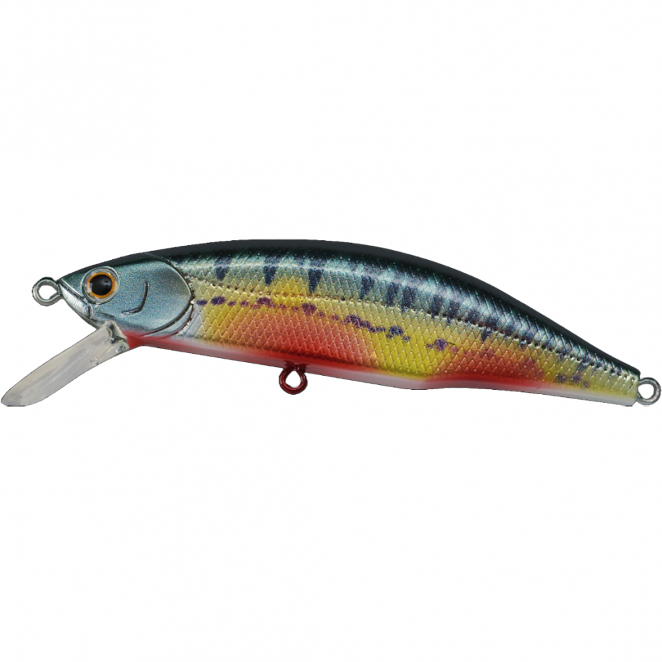 Hard bait Jackson Meteora 52