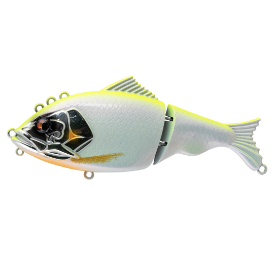 Poisson Nageur Bone Focus 130