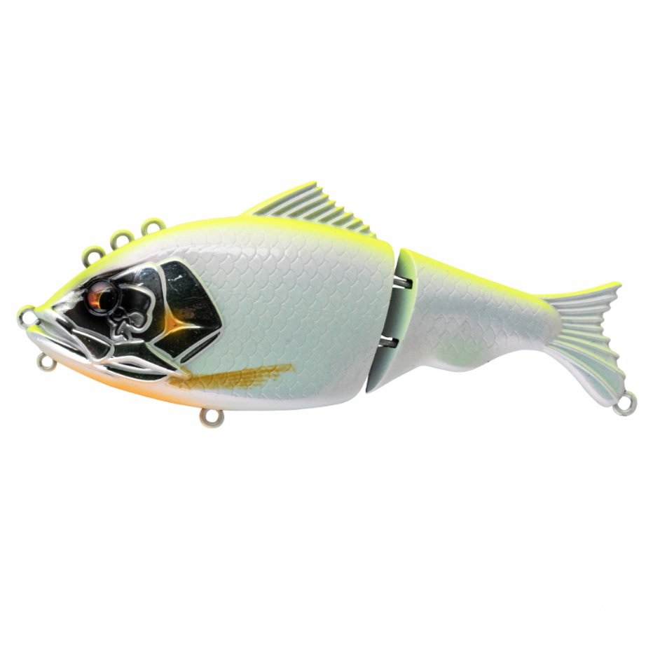 Poisson Nageur Bone Focus 130