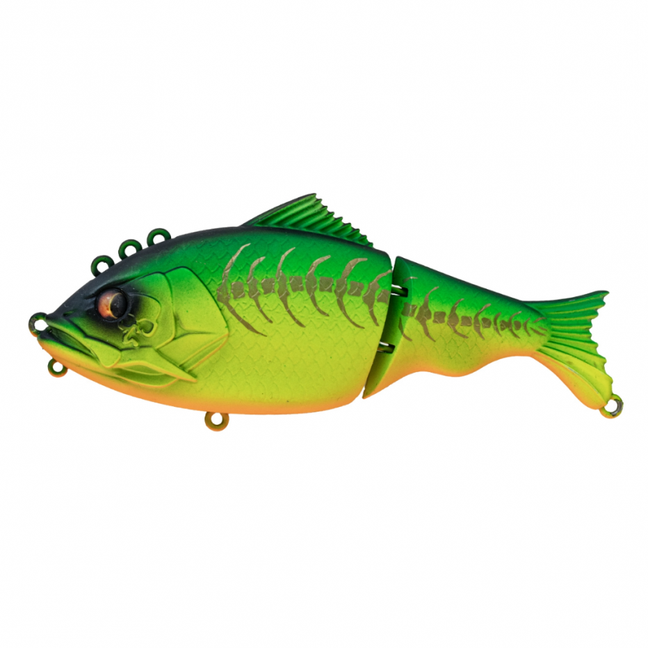 Poisson Nageur Bone Focus 130