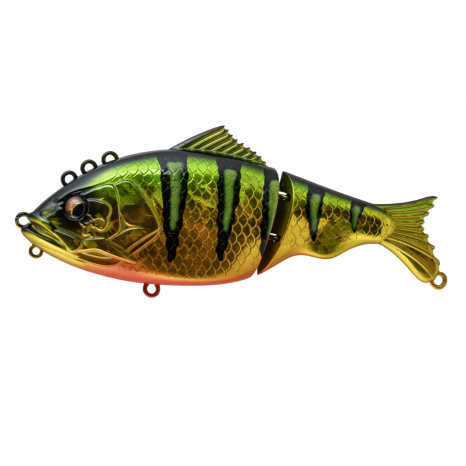 Poisson Nageur Bone Focus 130