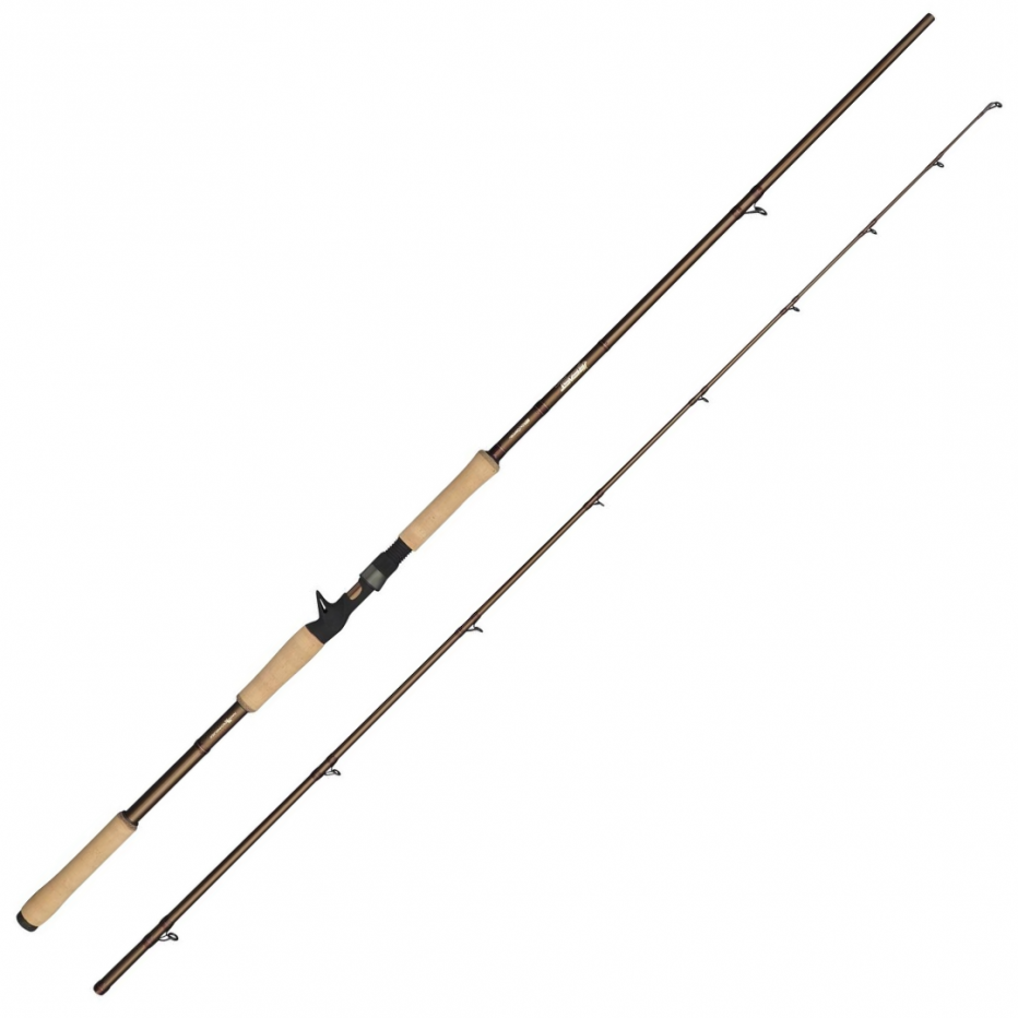 Canne Casting Abu Garcia Beast Pro 2