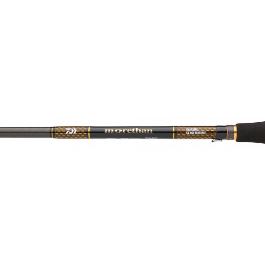 Spinning Rod Daiwa Morethan Branzino Expert