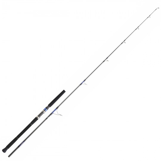 Caña Exo Daiwa Saltiga 2025