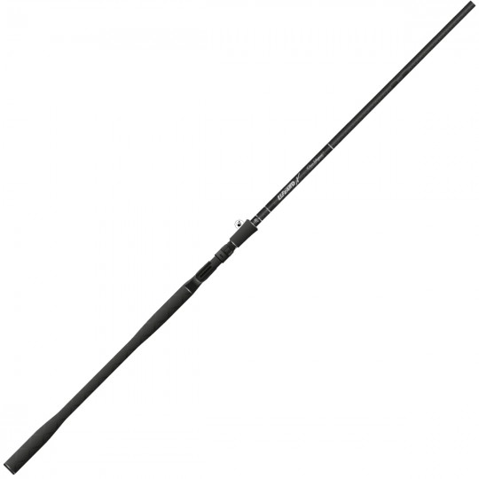 Casting rod BFT Lizzard...