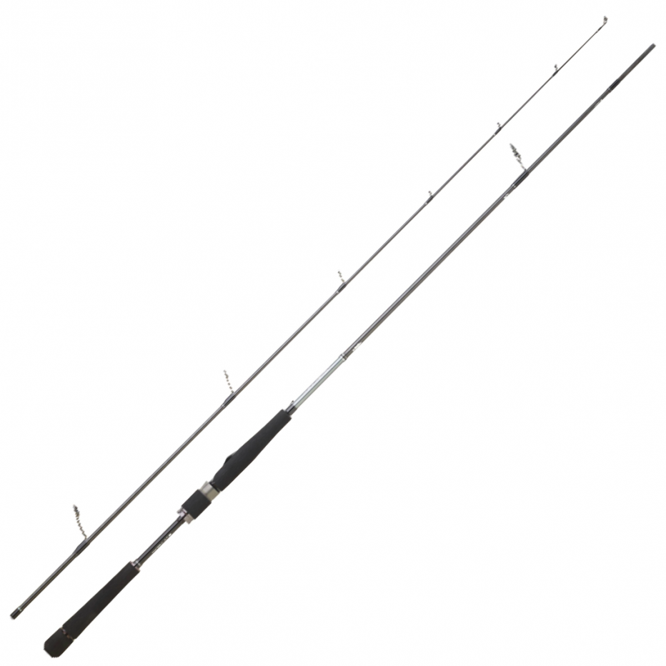 Spinning Rod Daiwa Saltist Seabass 2024