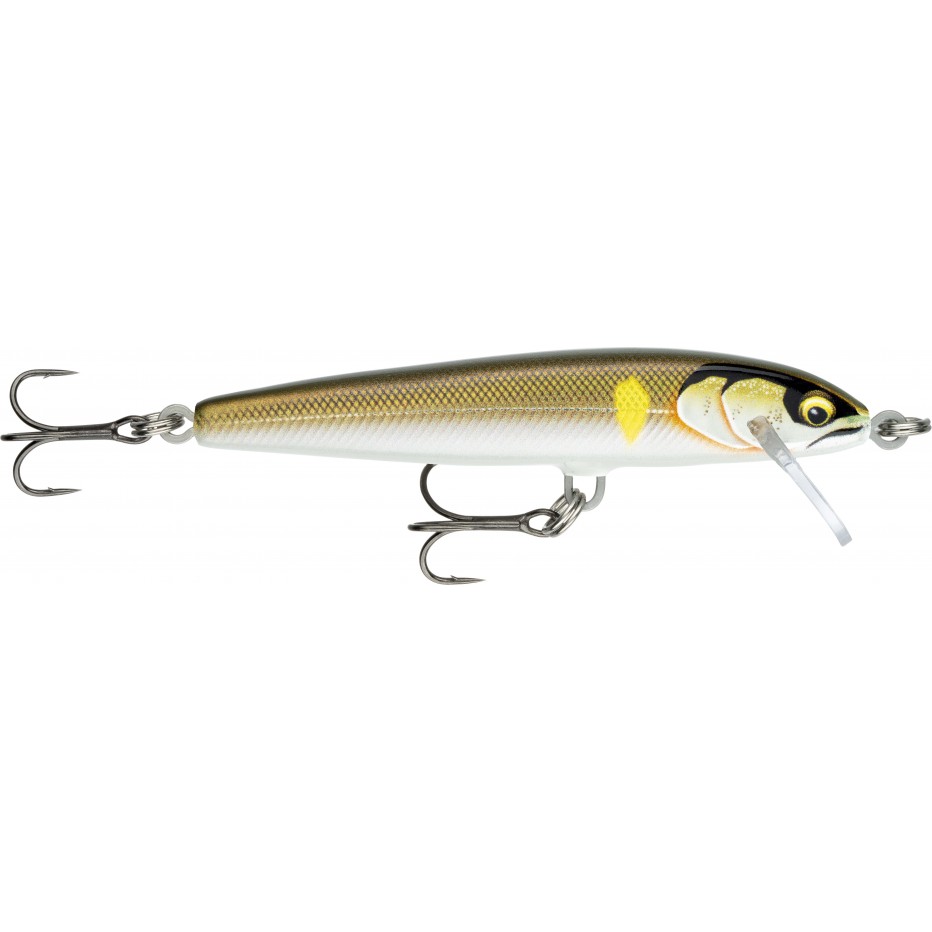 Hard bait Rapala Floater Elite 8.5cm