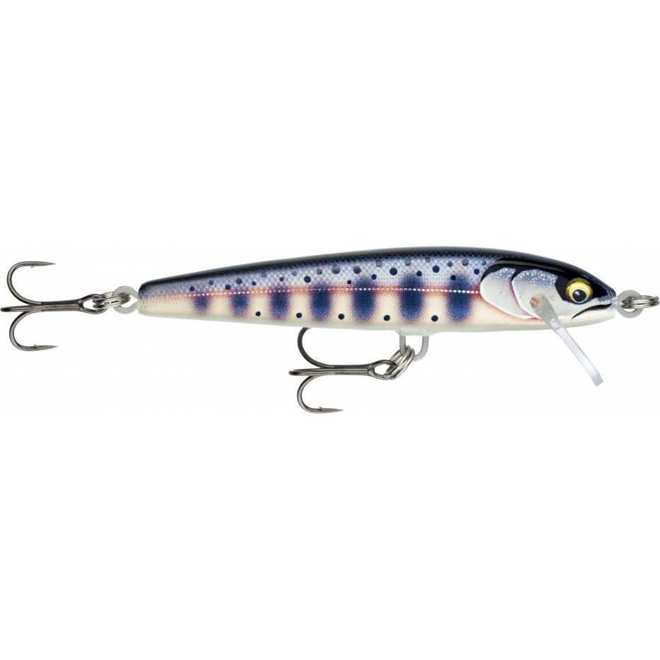 Poisson Nageur Rapala Floater Elite 8,5cm