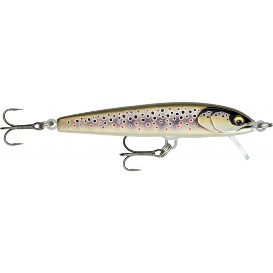 Poisson Nageur Rapala Floater Elite 8,5cm