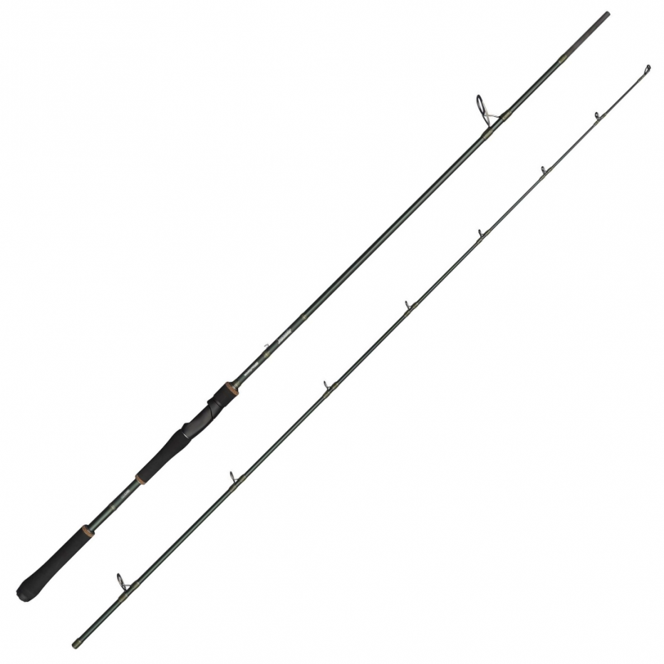 Spinning Rod Abu Garcia Beast X 2