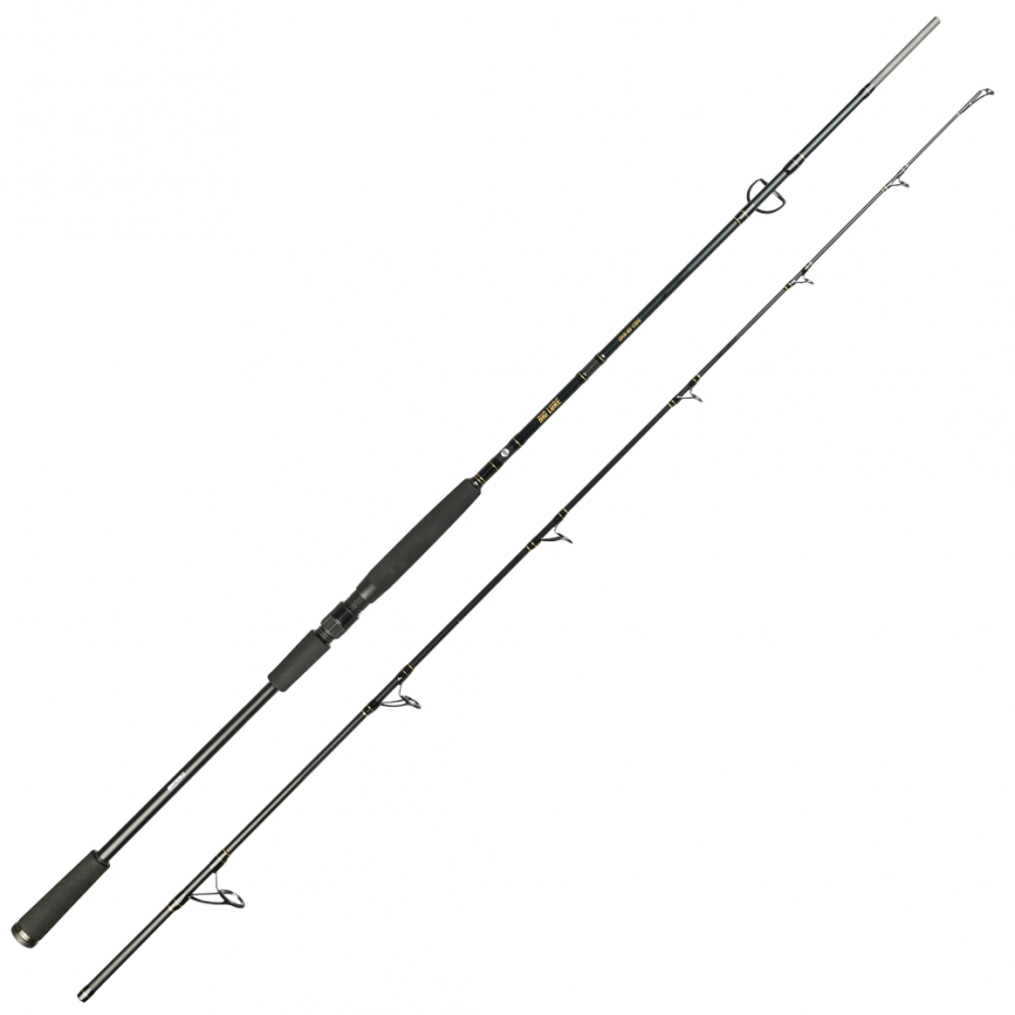 Spinning Rod Spro Big Lure