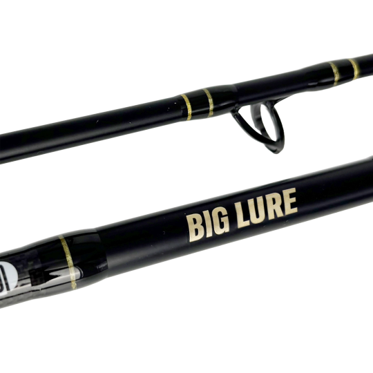 Caña Spinning Spro Big Lure