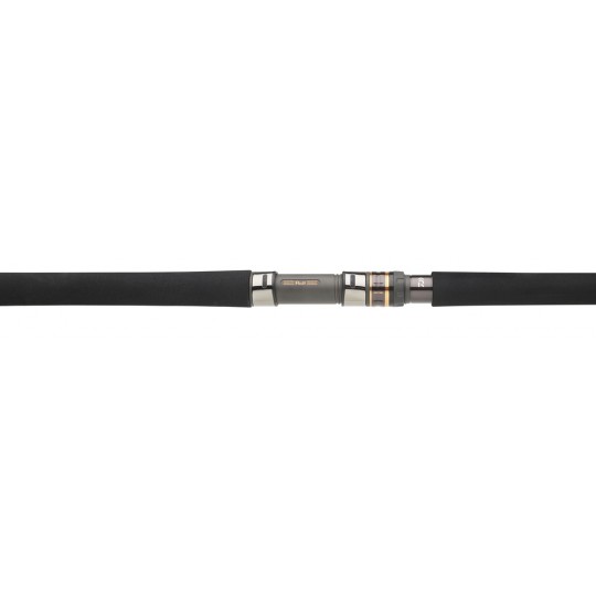 Spinning Rod Daiwa Saltiga Hiramasa 58 HS