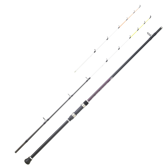 Spinning Rod Daiwa...