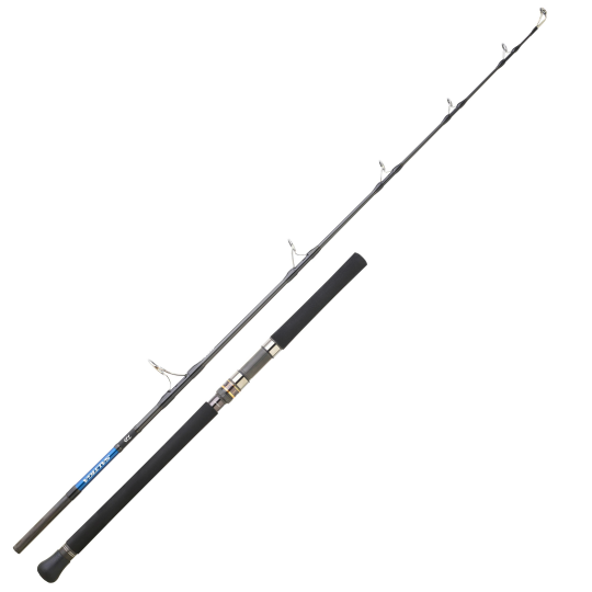 Angelruten Jigging Daiwa Saltiga Deep EX 60 24