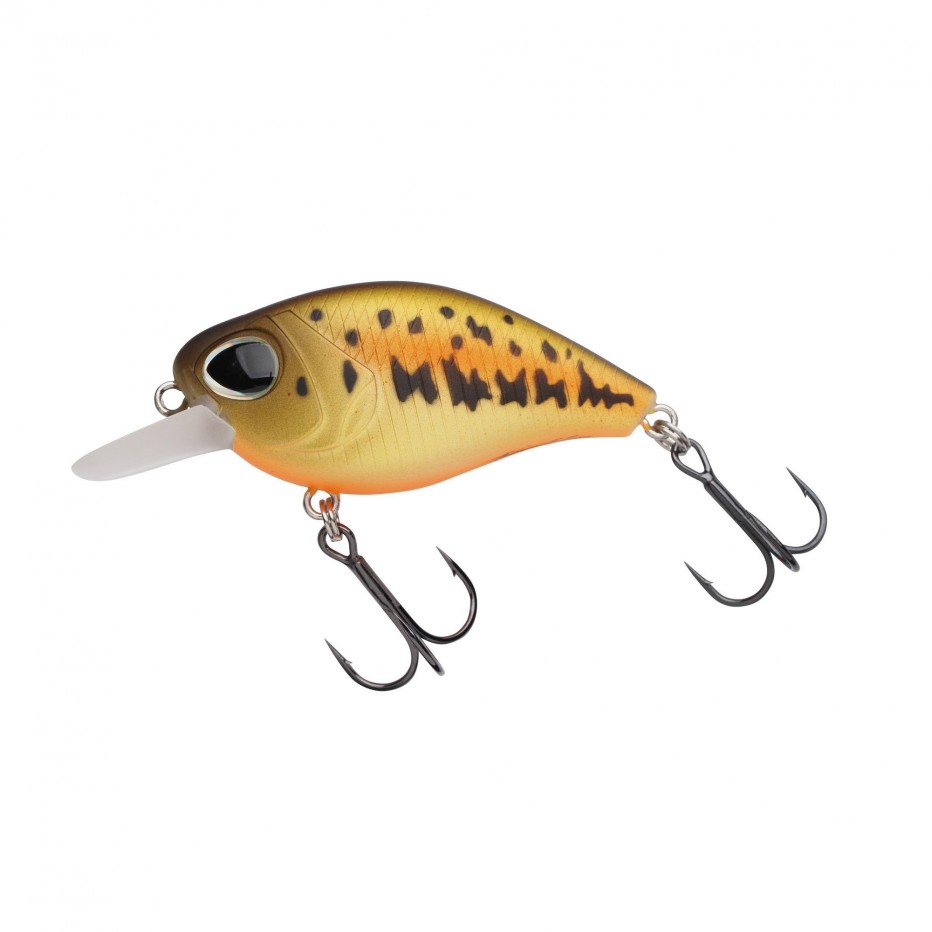 Poisson Nageur Berkley DEX Thumper Floating 5,5cm