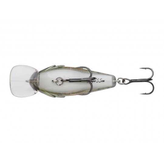 Poisson Nageur Berkley DEX Thumper Floating 5,5cm