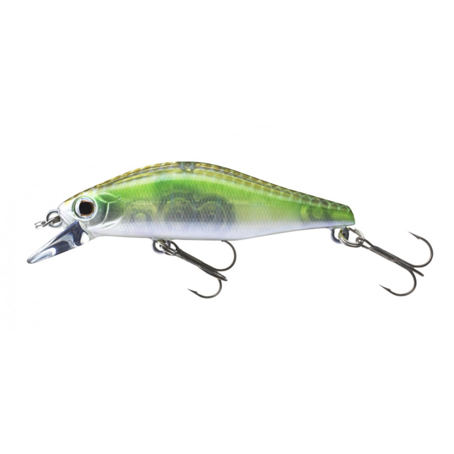 Señuelo duro Daiwa Tournament Wise Minnow 50 FS