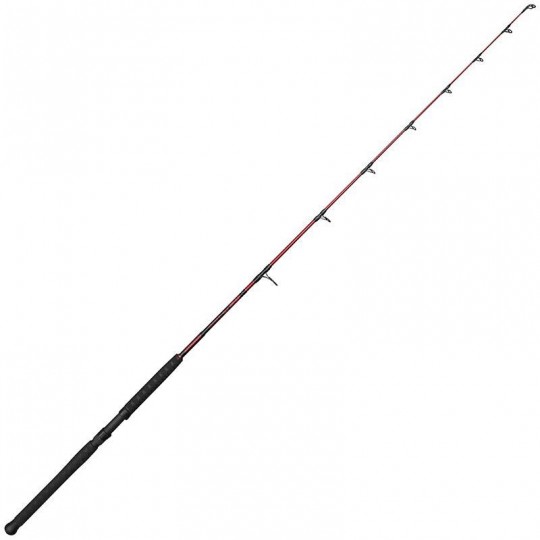 Spinning Rod Ugly Stick...