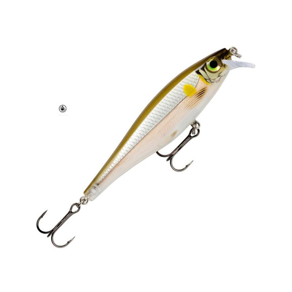 Kunstköder Rapala Bx Minnow 10cm