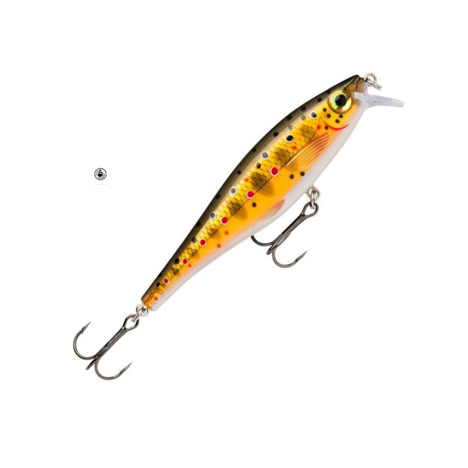 Kunstköder Rapala Bx Minnow 10cm