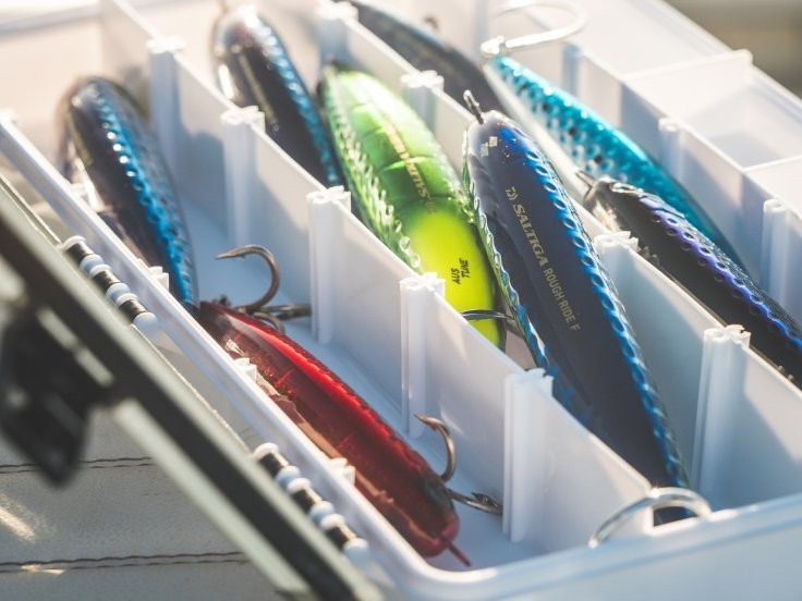 Illustration of the article The best brands of hard baits