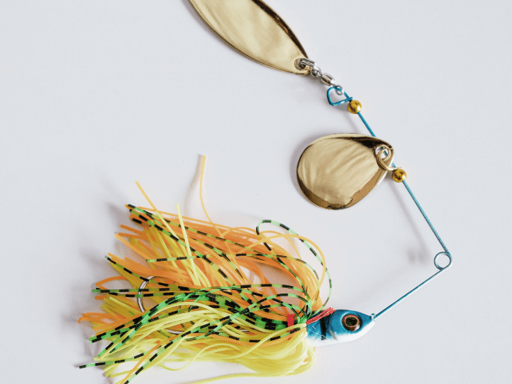 Illustration of the article What color for a spinnerbait?