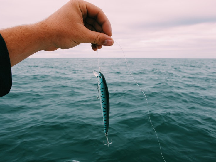 Comment Choisir vos Appâts pour la Pêche en Mer