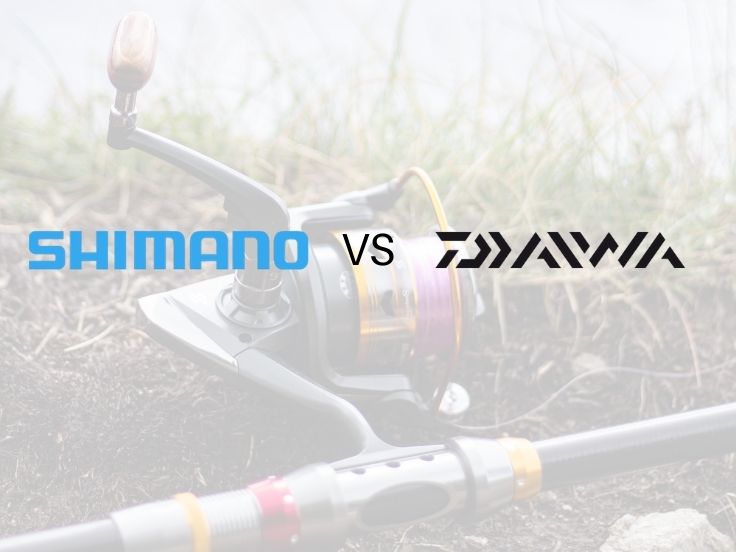 Reel Daiwa or Shimano? - Leurre de la pêche