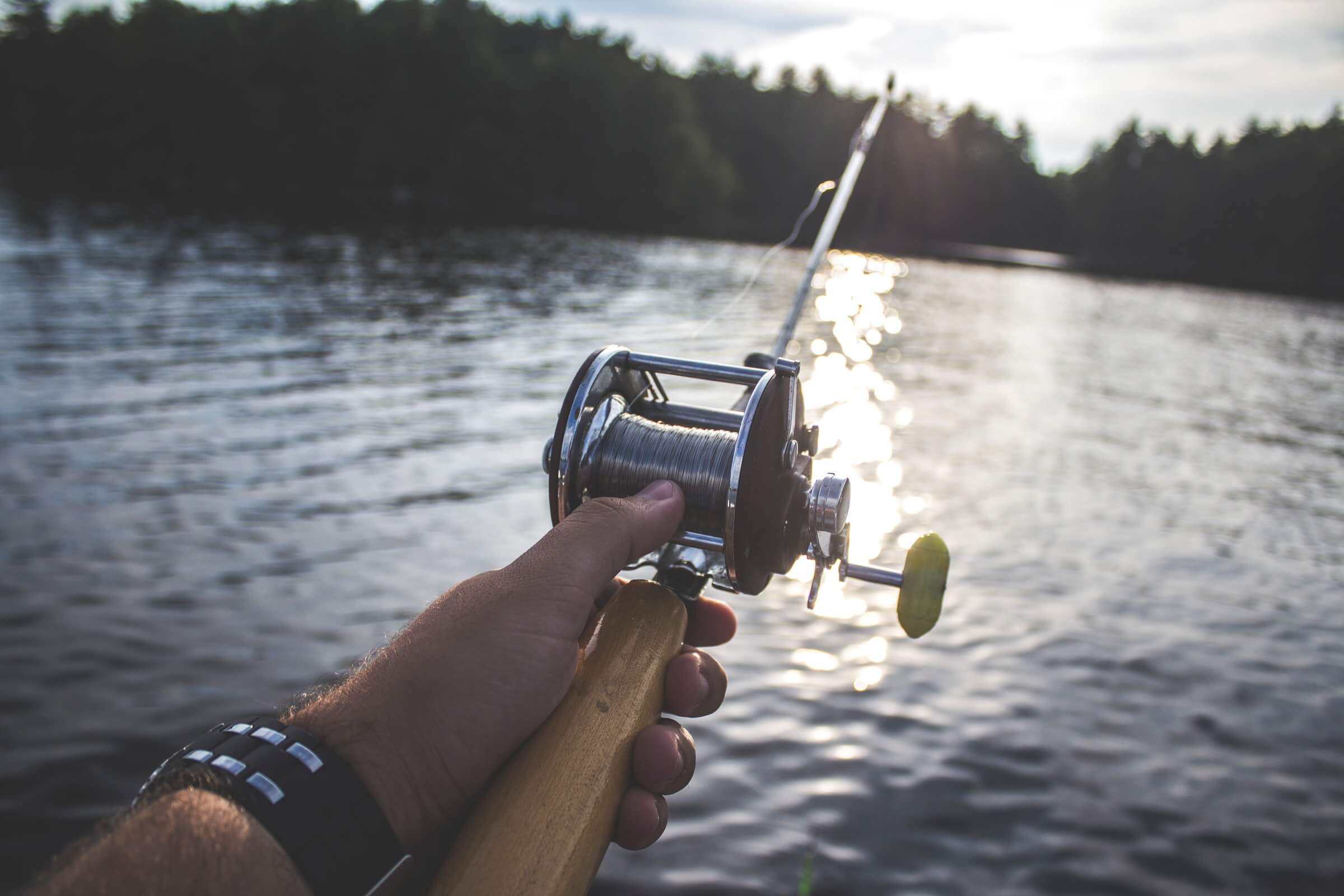 Fishing rod brands - Leurre de la pêche